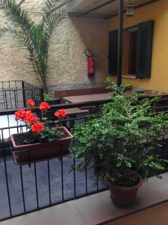 מלון מנרולה Il Patio מראה חיצוני תמונה